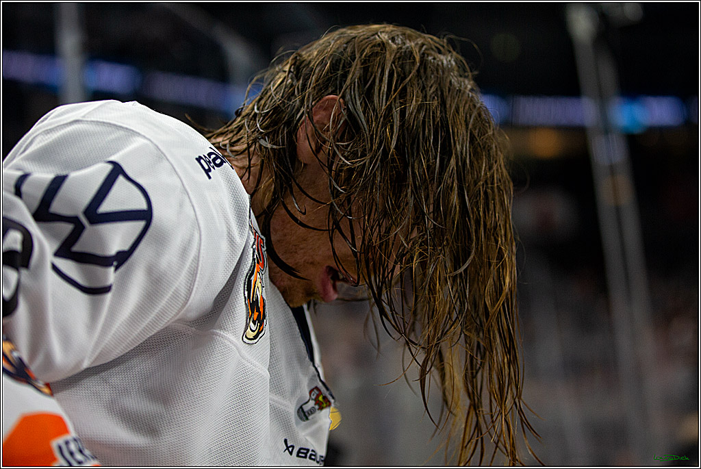 PENNY DEL; Koelner Haie- Grizzly Wolfsburg; Koeln, 26.10.2022